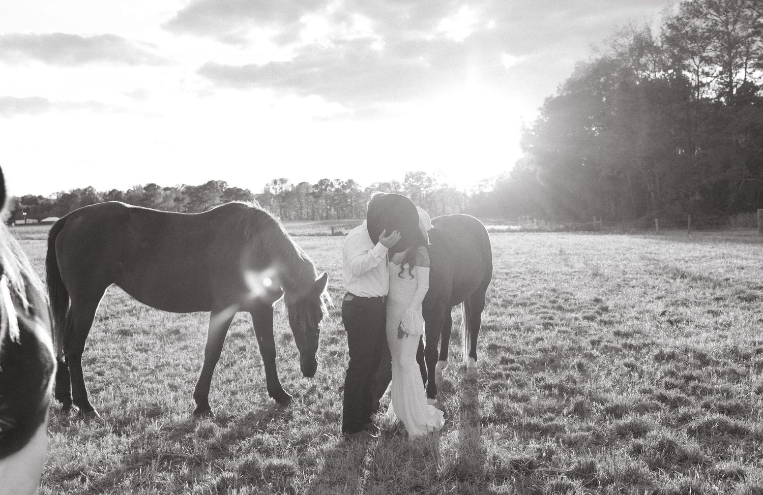 Black and white photo of couple surrounded by horses grazing in a sunlit open field.