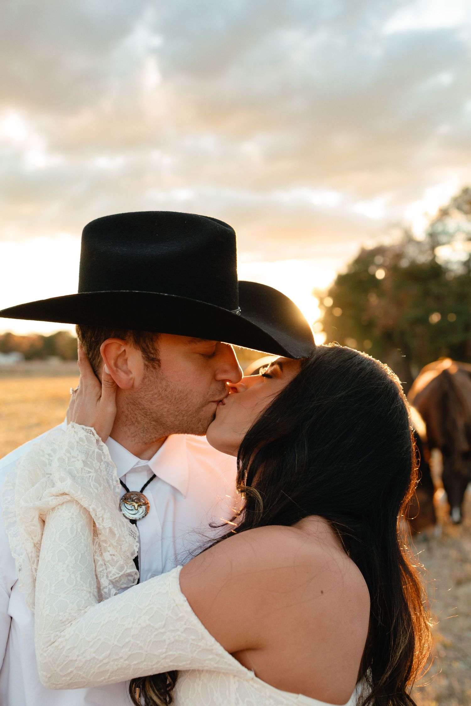 Bride and groom share a passionate kiss at sunset in a field with horses visible in the warm background light.