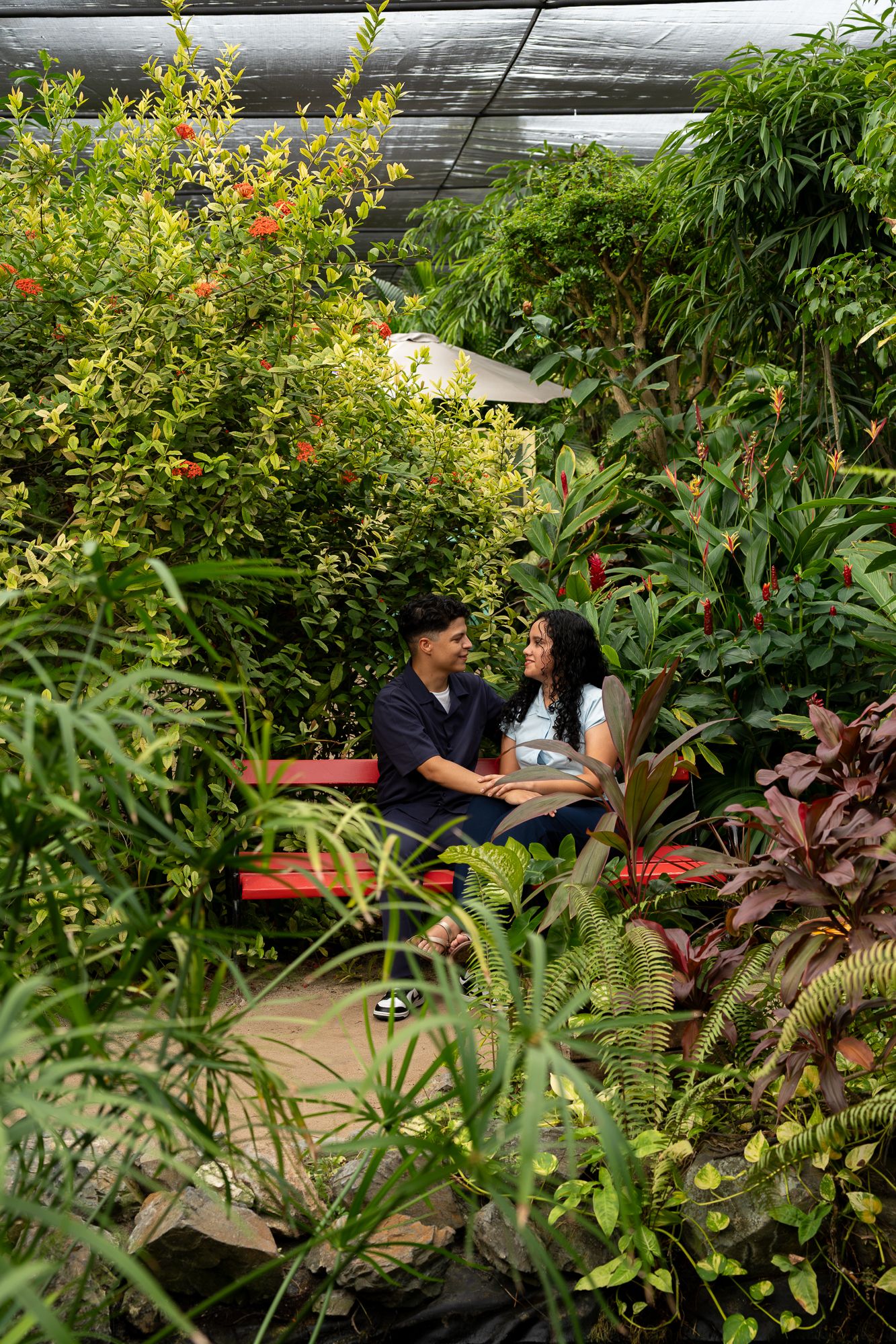 Couple sitting on a red bench surrounded by tropical greenery during an Aruba garden couples session.