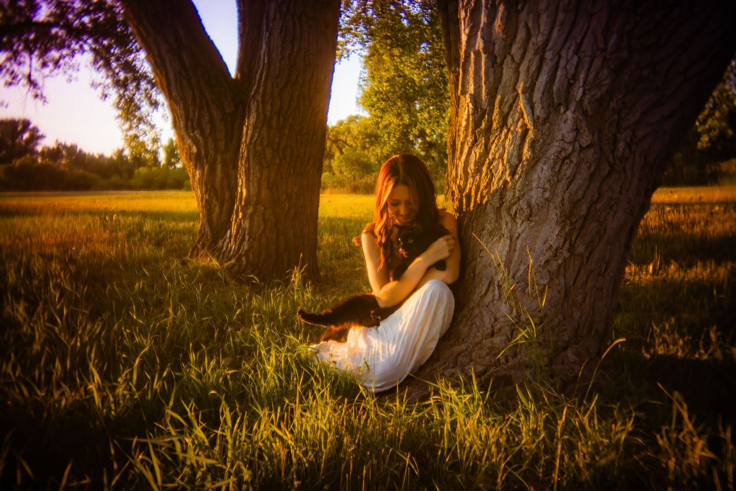 Young woman sitting peacefully under large tree in glowing sunset park for Parker CO Nature Senior photos