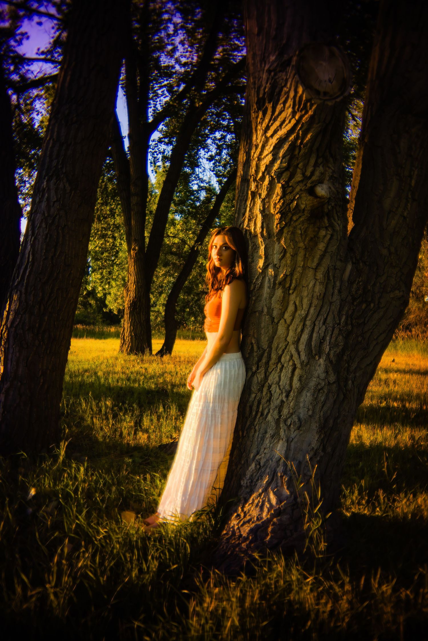 Woman in orange top and white maxi skirt standing between large tree trunks in dramatic evening forest light for Parker CO Senior photos