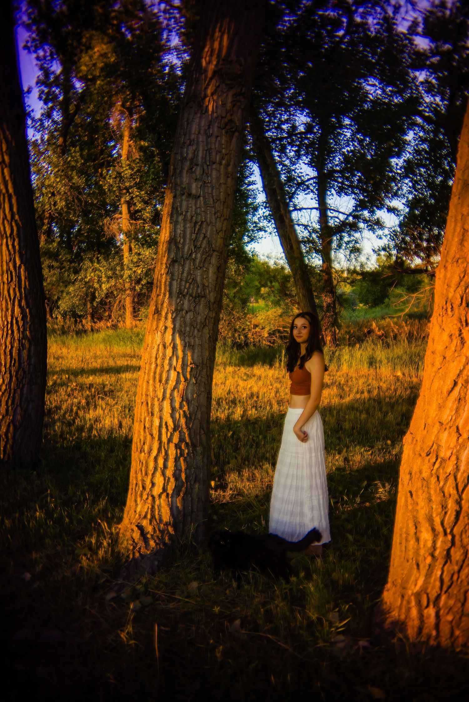 Woman in rust crop top and white maxi skirt standing among large tree trunks in golden evening forest light for Fanktown CO Senior photos