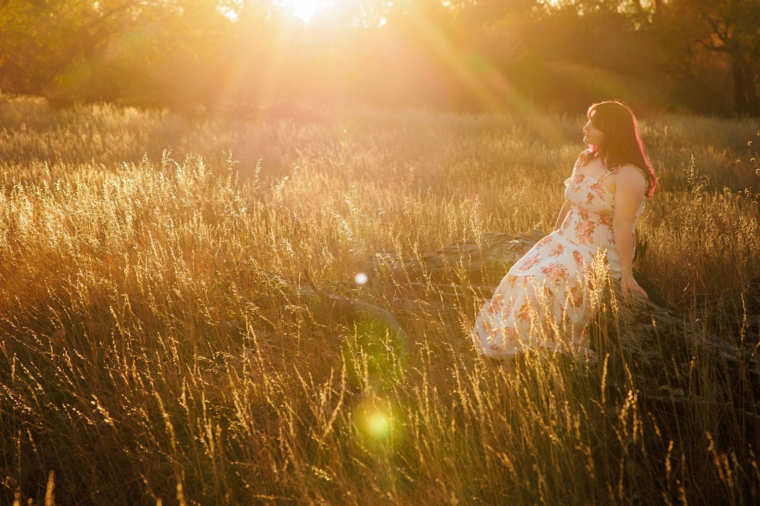 Woman in floral dress sitting in golden sunlit field during sunset with lens flare and tall grass.