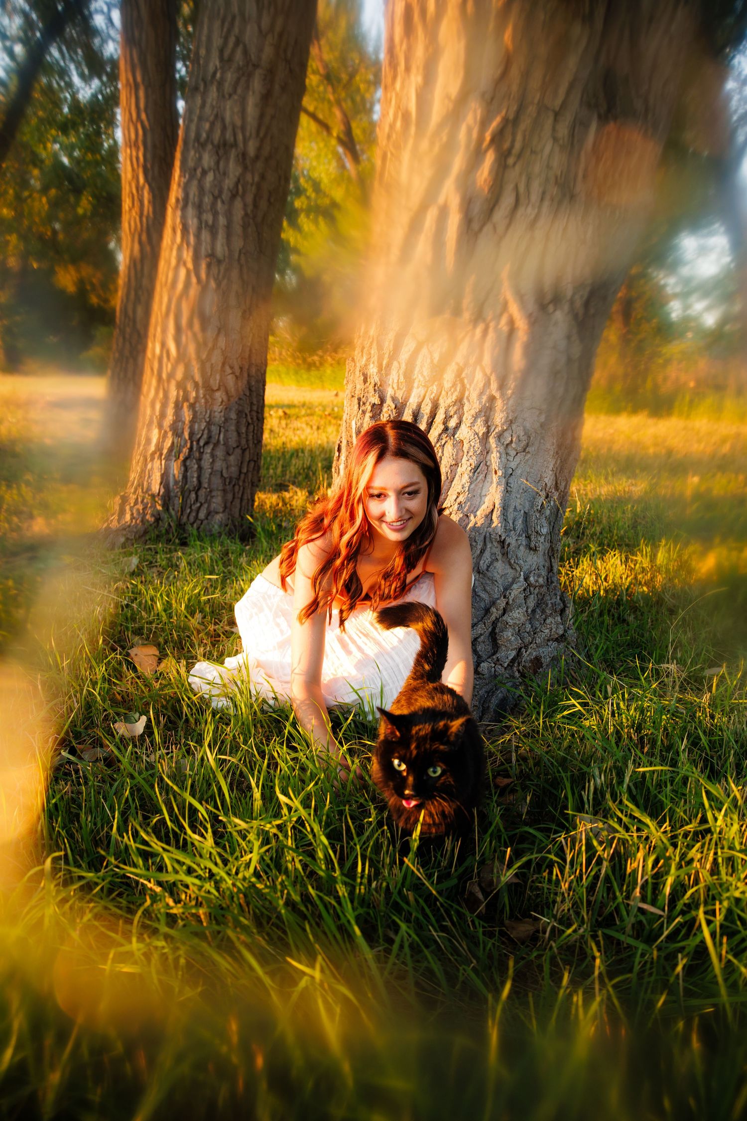 Redhead woman in white dress sitting in grass petting black cat under trees in golden sunlight for Douglas County CO Senior photos