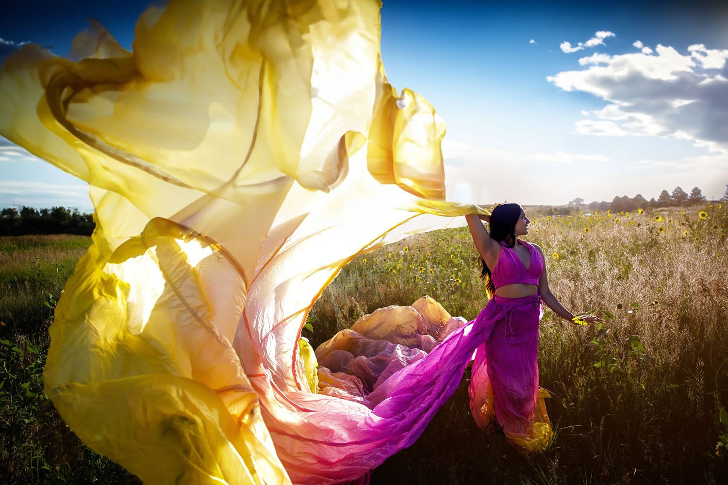 Colorado Senior in purple sari running through a field with vibrant yellow and pink flowing fabric billowing in the wind under blue sky.
