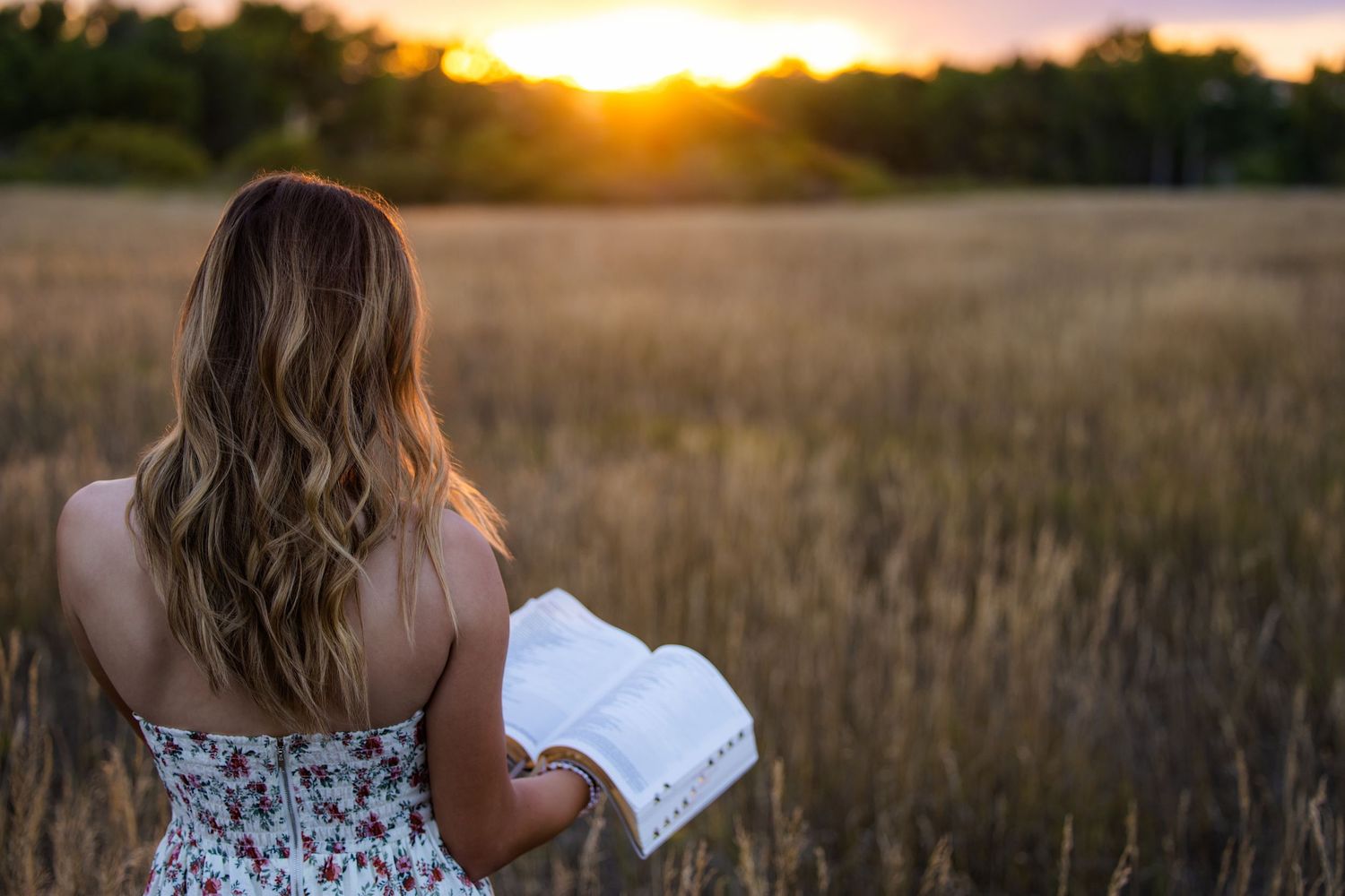 A young woman with long wavy hair holds an open book in a golden wheat field at sunset.