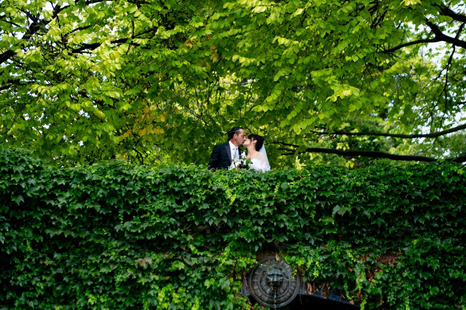 Bride and groom share a kiss framed by lush green ivy wall in garden wedding.