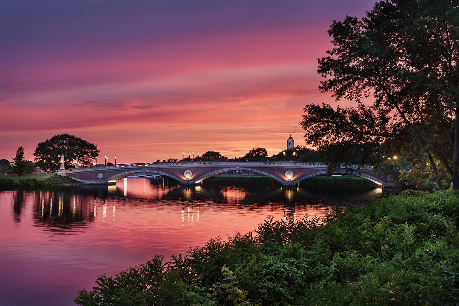 Color landscape photograph of John Weeks Bridge over the Charles River at dusk with very colorful sky and vegetation in the foreground.