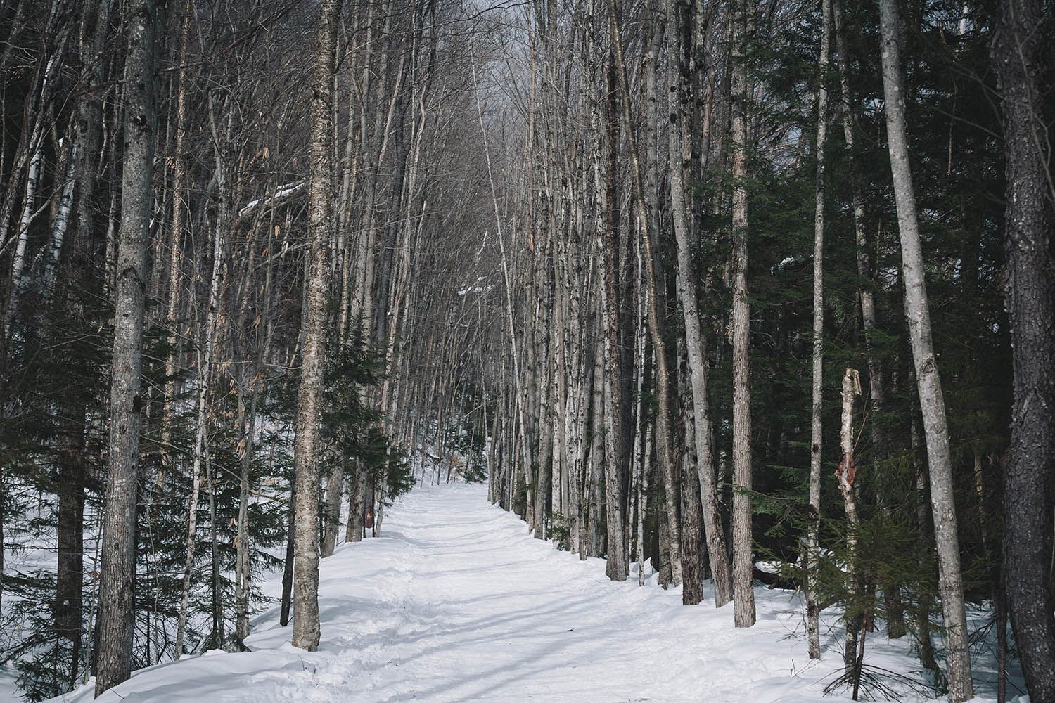 Color landscape photograph showing hiking trail in winter by architecture and landscape photographer Roberto Farren