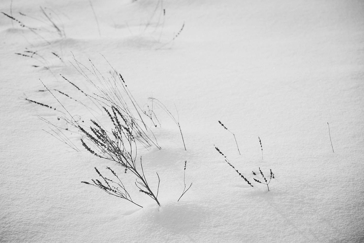 WINTER PHOTOGRAPHY LANDSCAPE IN BOSTON MASSACHUSETTS