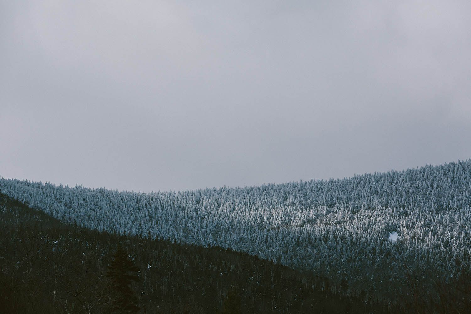 A winter mountain landscape photograph taken in NH White Mountain State Forest with snow on the trees