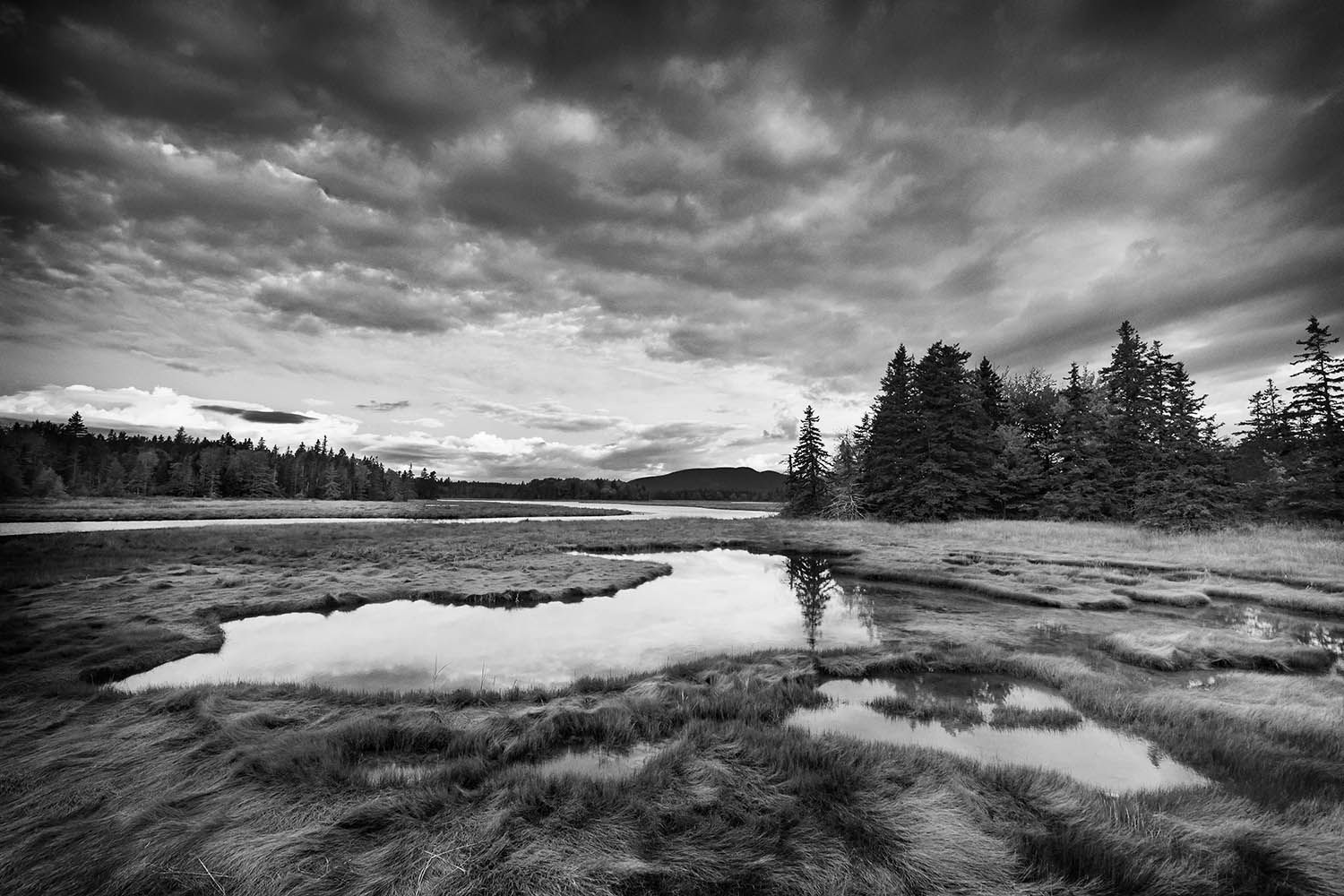 BLACK AND WHITE LANDSCAPE PHOTO IN MAINE NEW ENGLAND