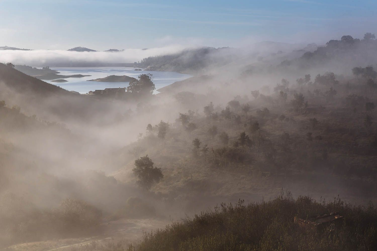 Color landscape photograph from Portugal showing a lake and trees appearing out of the mist at sunrise