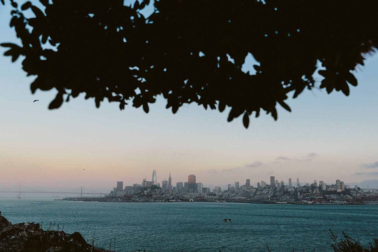 Color landscape photograph taken near San Francisco in California showing San Francisco view from Alcatraz