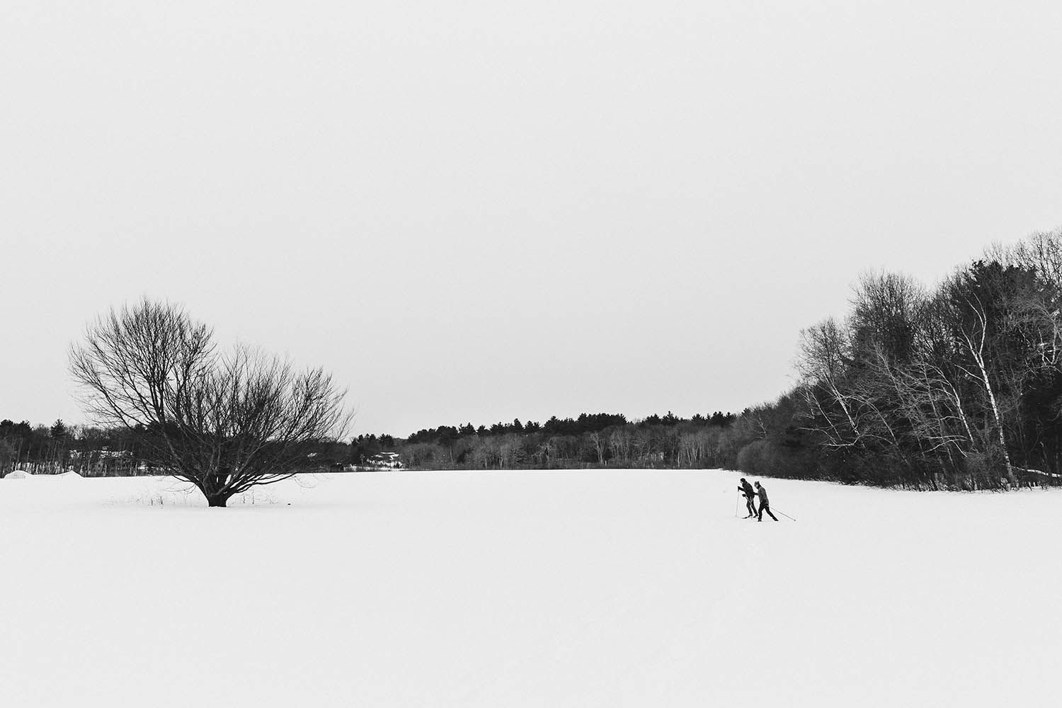 WINTER PHOTOGRAPHY LANDSCAPE IN BOSTON MASSACHUSETTS TREE IN THE SNOW WITH PEOPLE WALKING