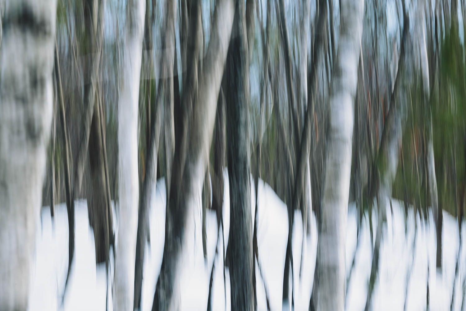 Abstract landscape photography image of trees blurred to create artist patterns and lines