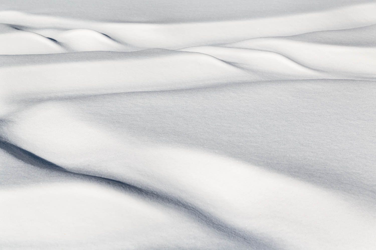 Color landscape photograph showing trail the snow in winter by architecture and landscape photographer Roberto Farren