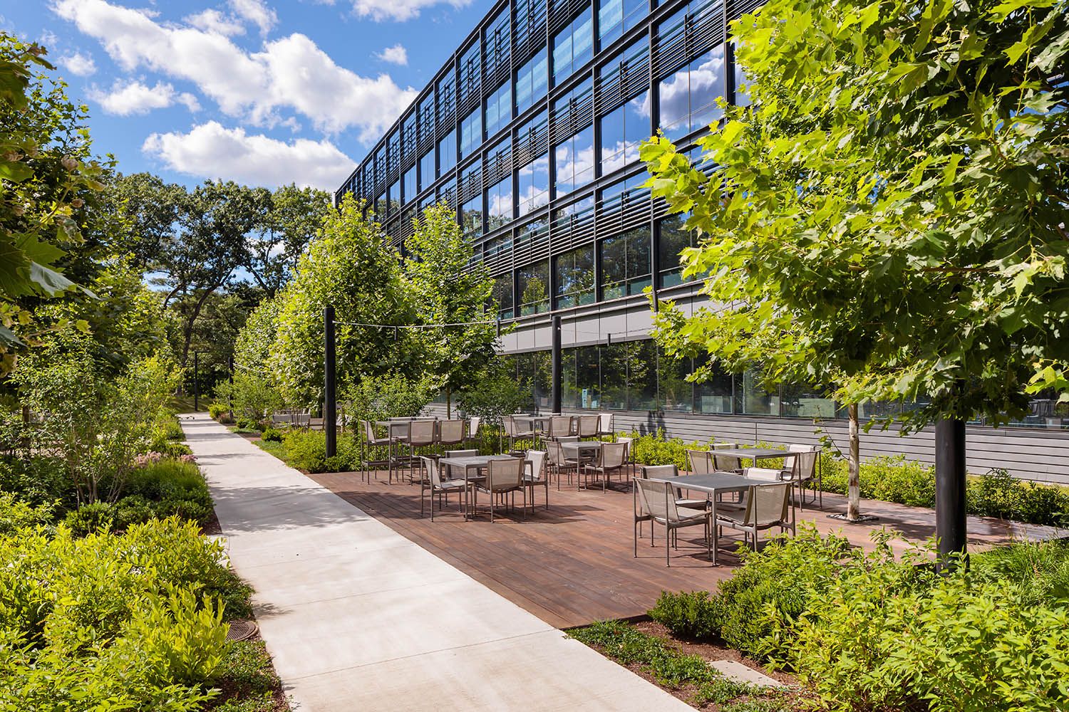 New office and life sciences building in Waltham MA architectural photography of exterior garden space for Boston building developers