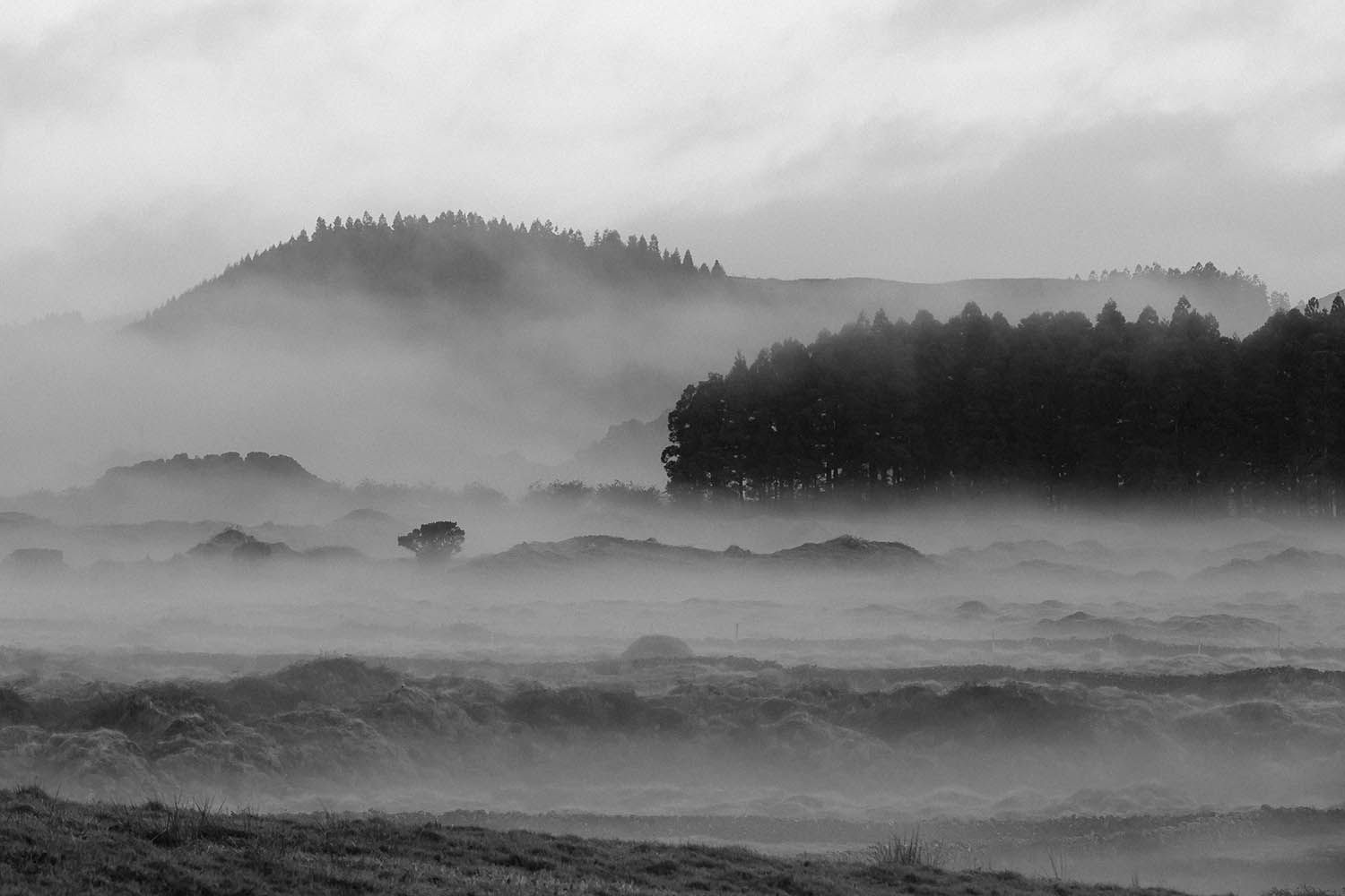 BLACK AND WHITE LANDSCAPE PHOTOGRAPH TAKEN IN THE AZORES INTERIOR OF ISLAND WITH MIST