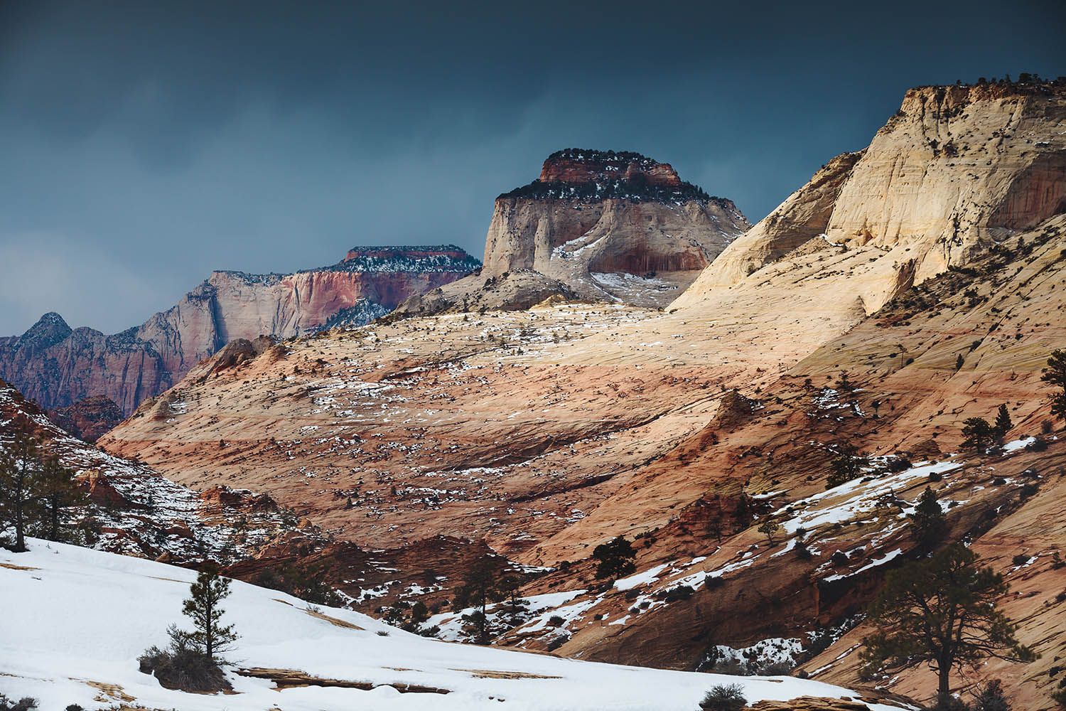 Color landscape photograph showing the mountains in Zion national park Utah by architecture and landscape photographer Roberto Farren