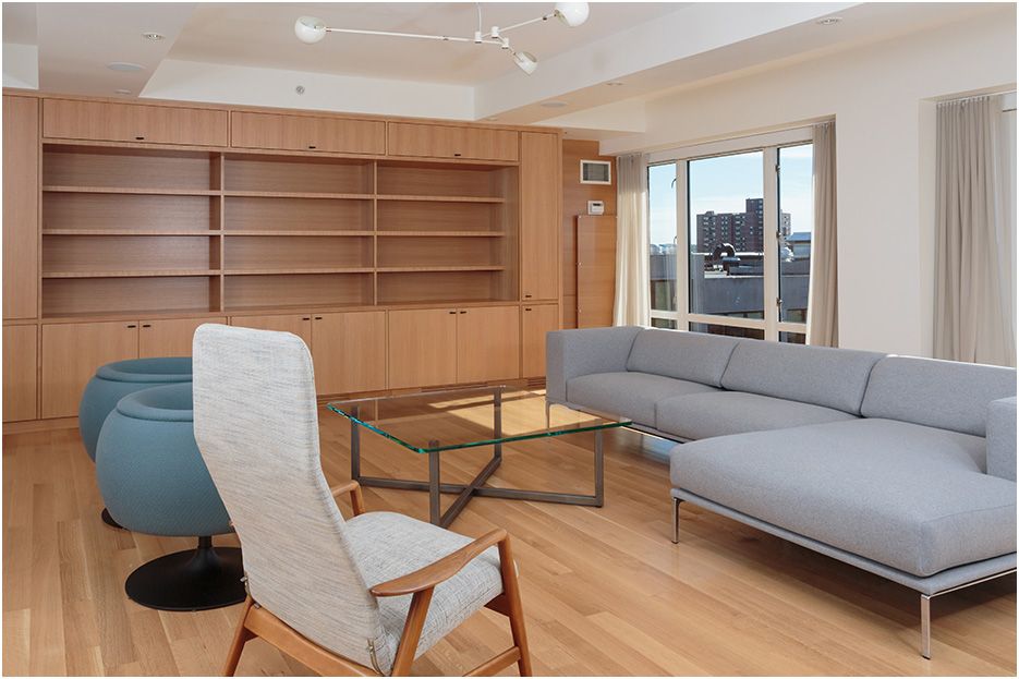 BEAUTIFUL LIVING AREA CAPTURED IN BOSTON APARTMENT BY ROBERTO FARREN FOR SLEEPING DOG PROPERTIES
