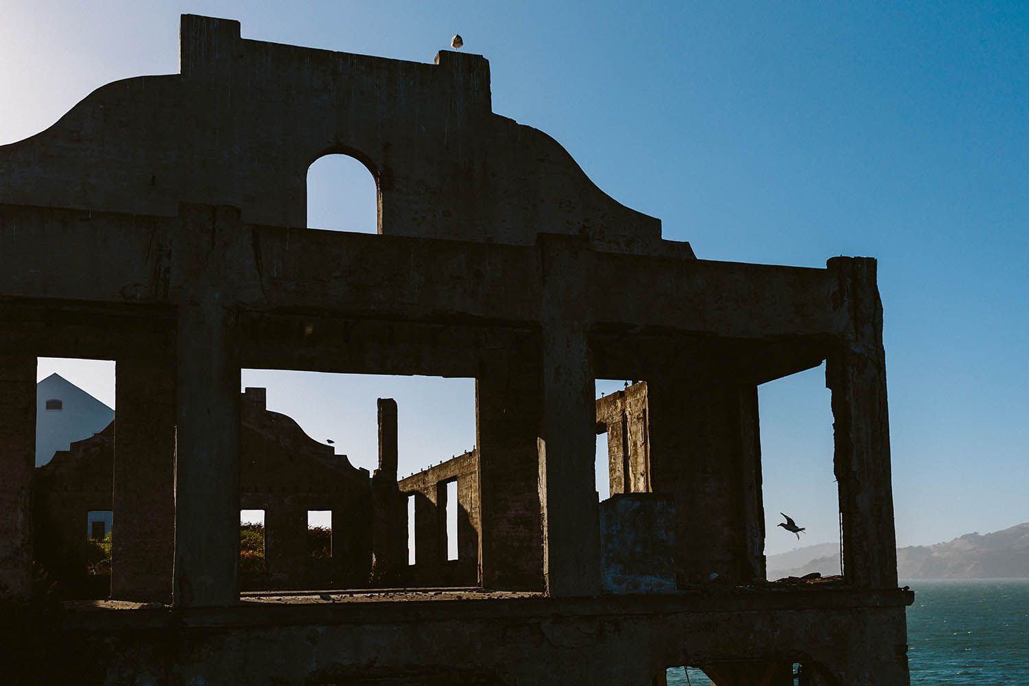 Color landscape photograph taken from Alcatraz in San Francisco showing derelict building and seagulls in the air.