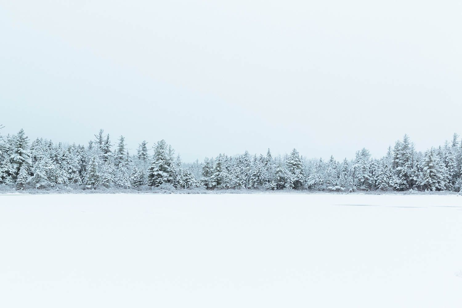 Color landscape photograph deep winter in the White Mountains in NH with snow all around and trees covered in snow