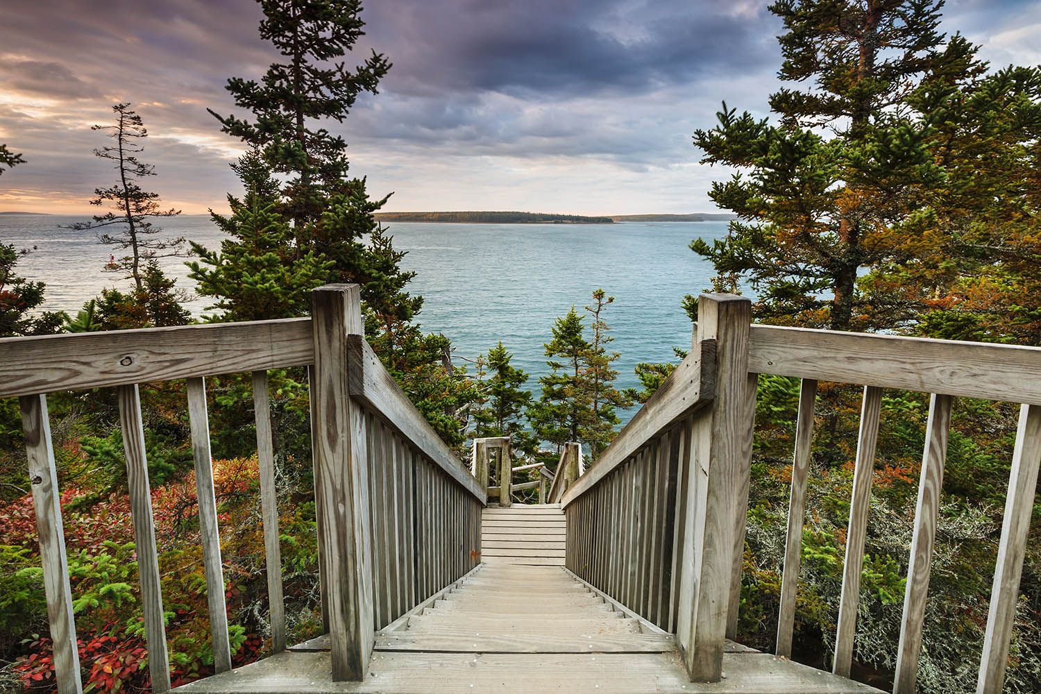 Color landscape photograph of steps leading down the the beach and cliff face on Bar Harbor Maine taken at sunrise with colorful sky.