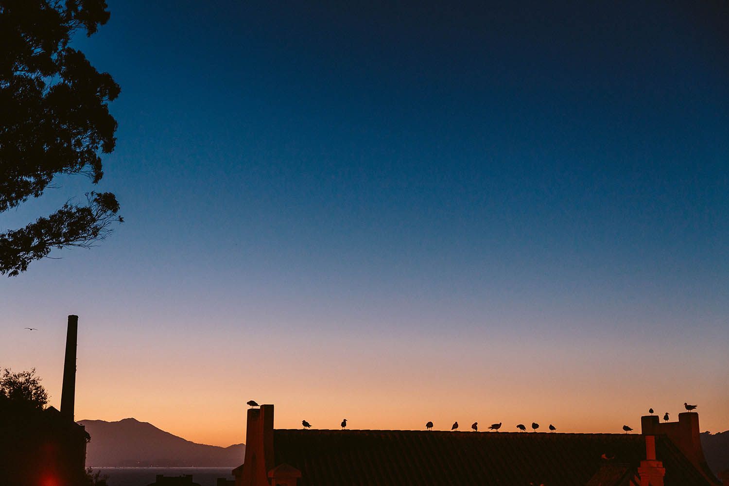 Color landscape photograph taken near San Francisco in California showing view from Alcatraz at dusk