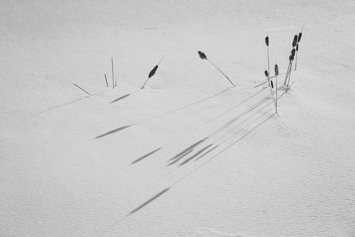 WINTER PHOTOGRAPHY LANDSCAPE IN BOSTON MASSACHUSETTS ROBERTO FARREN