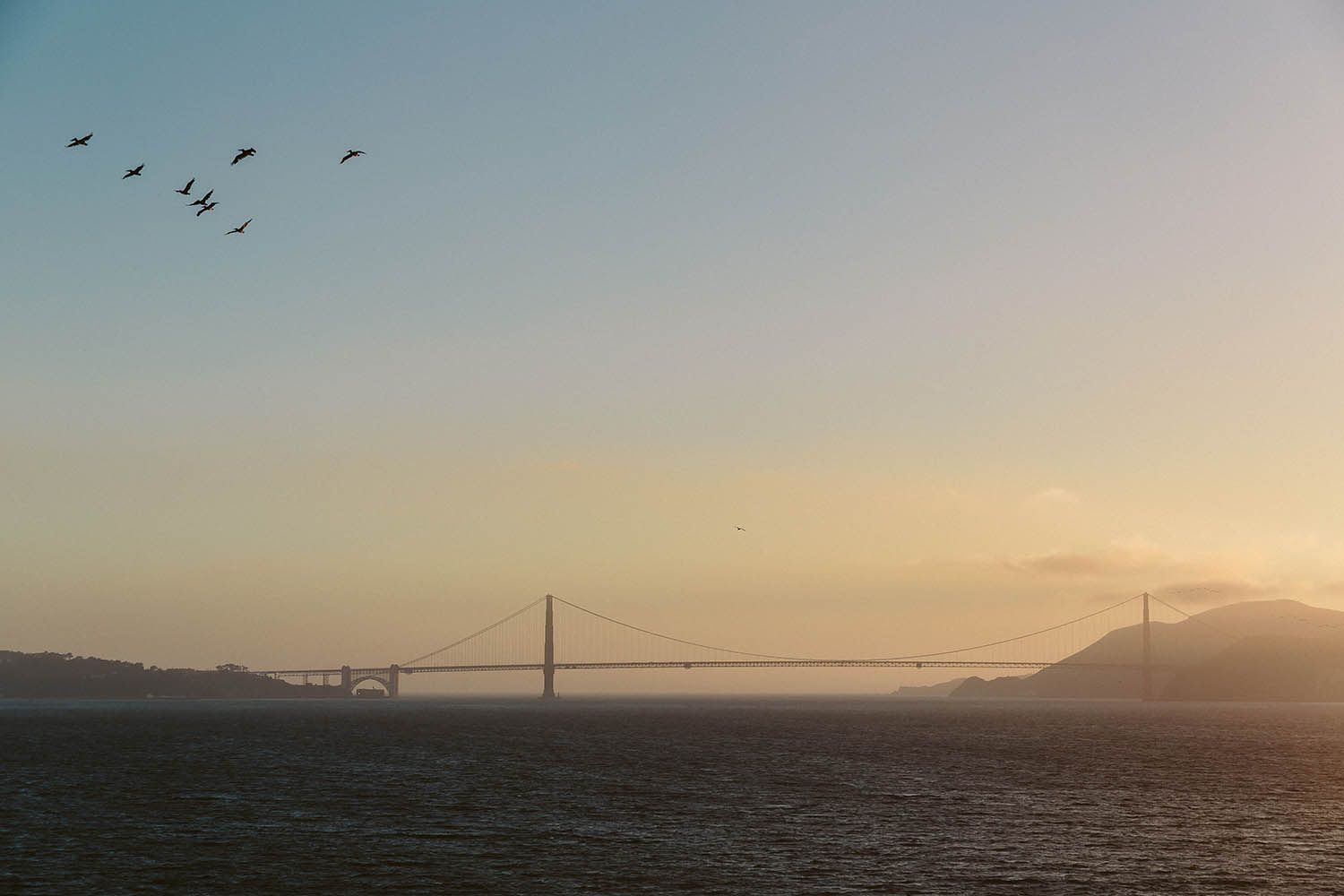 Color landscape photograph of the Golden Gate Bridge in San Francisco at dusk with pelicans flying in they sky and the bay showing