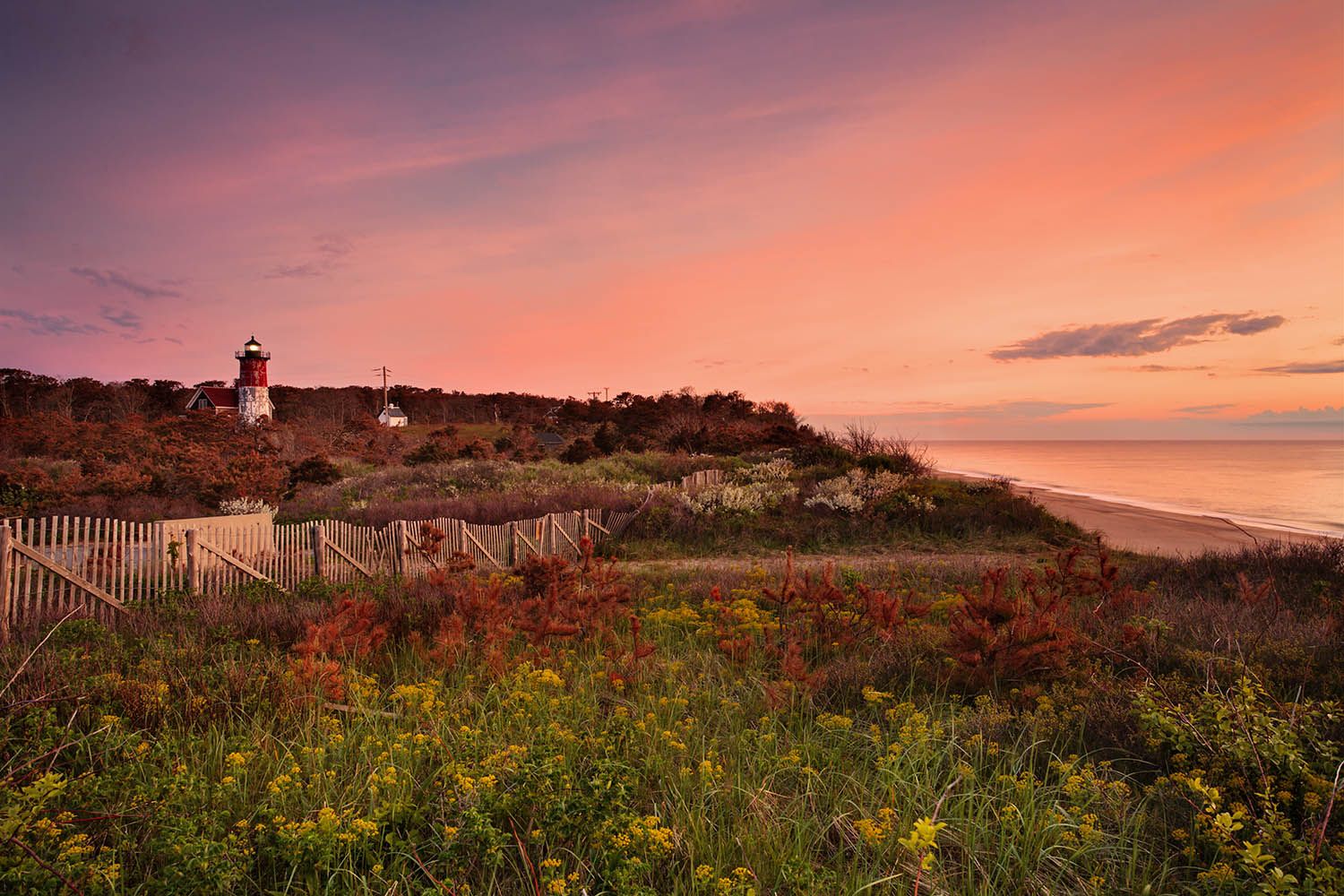 Color landscape photograph of Nauset lighthouse on the coast of Massachusetts on Cape Cod taken at sunrise with colorful sky and plants