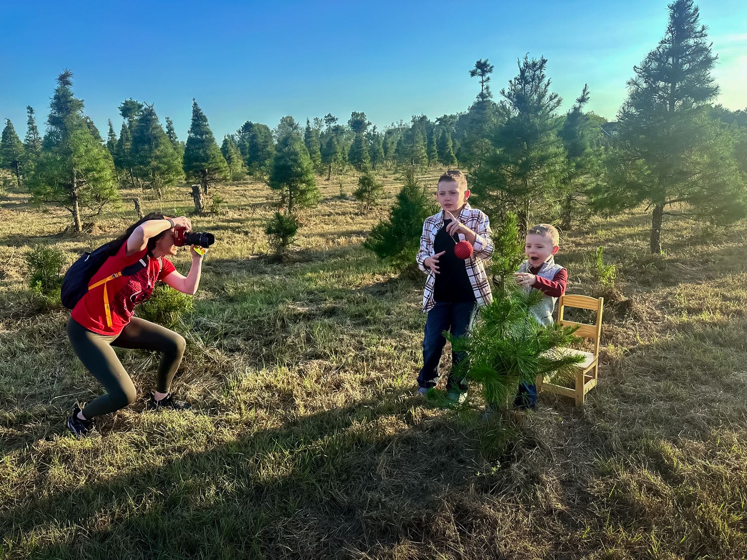 Three people planting young trees in a mountainous forest landscape.