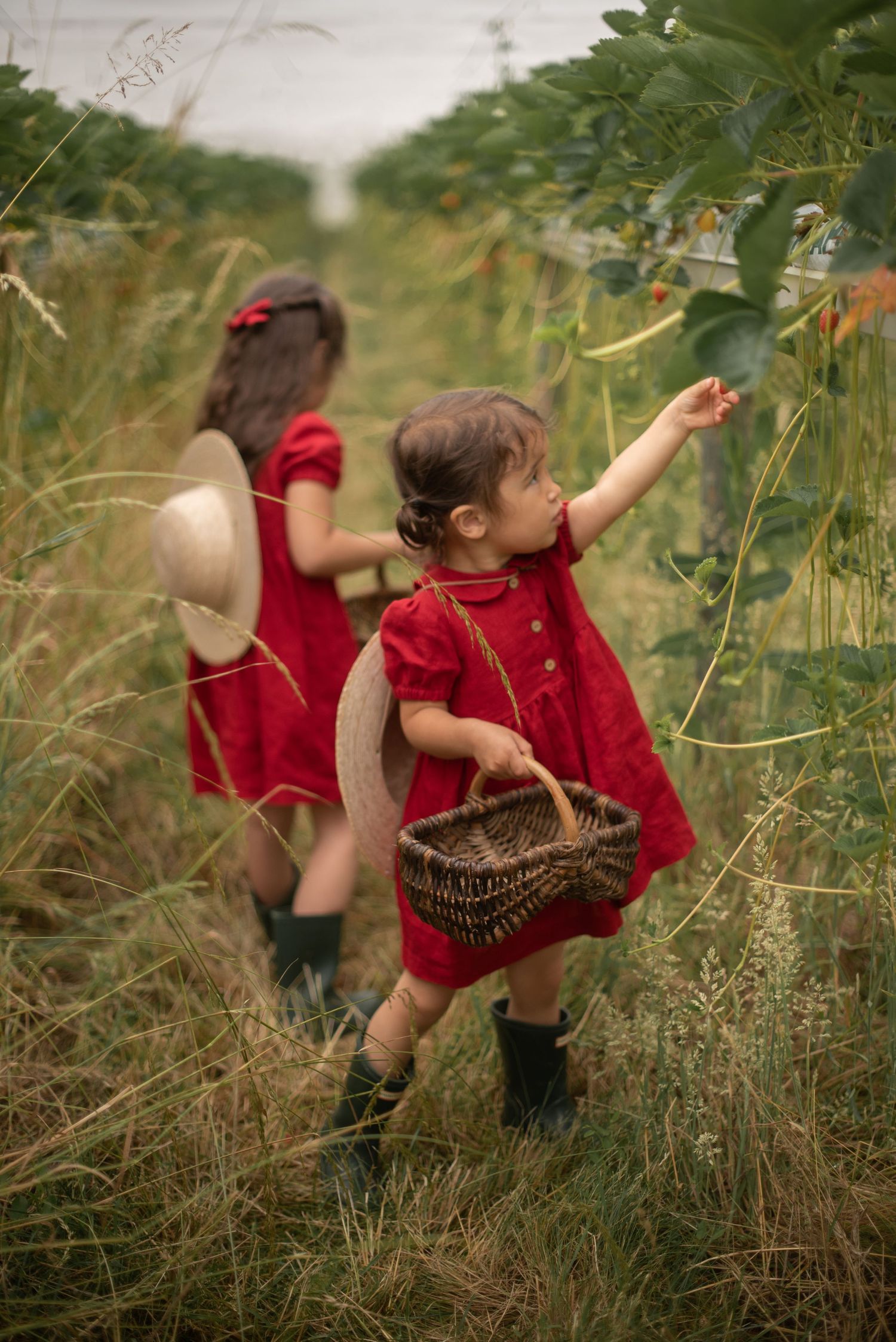 Two figures in red dresses gather plants in a meadow on a summer day, carrying wicker baskets through tall grass.