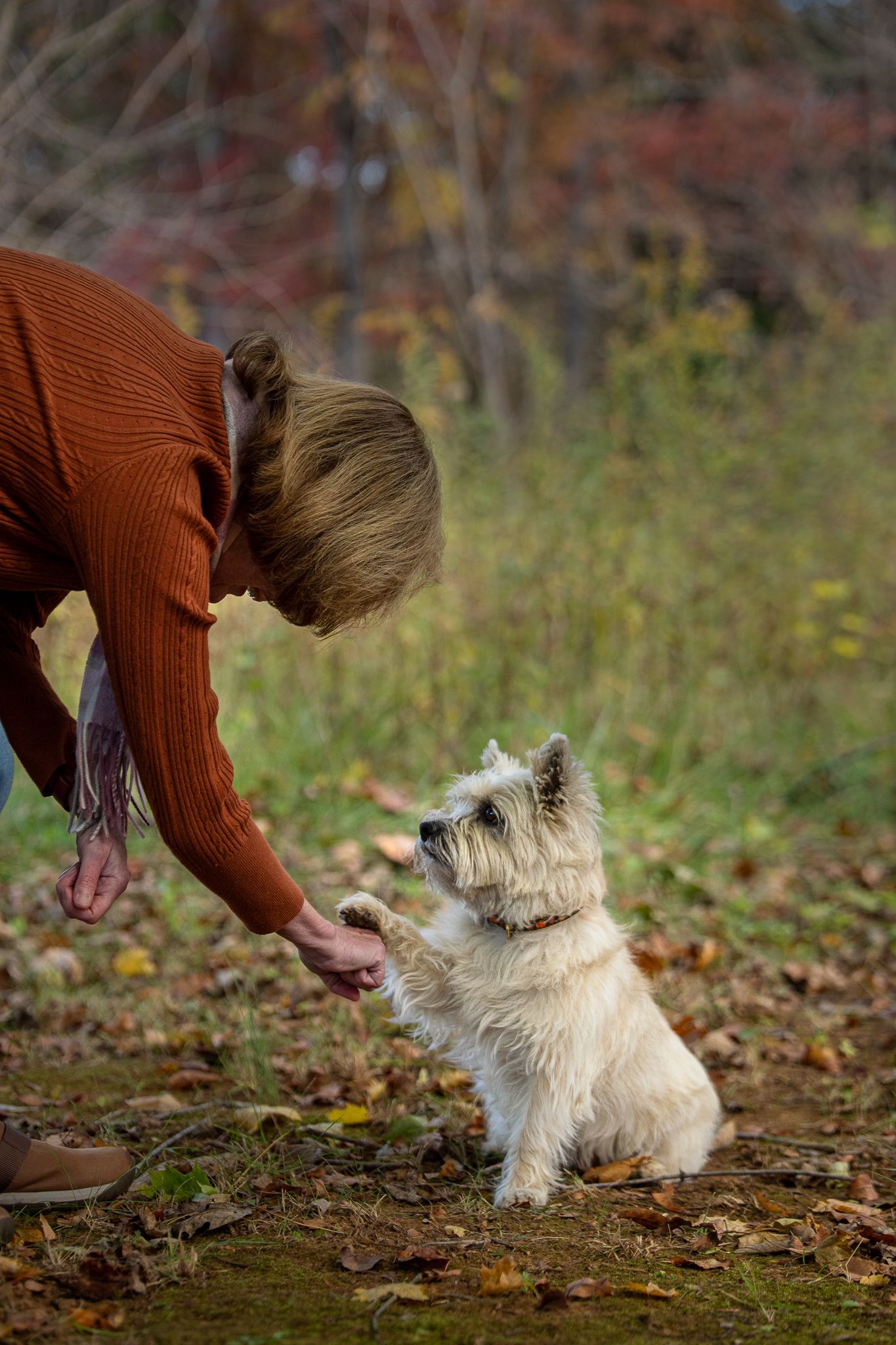 Dog mom asking Cairn Terrier to shake her paw, showing off their connection and training