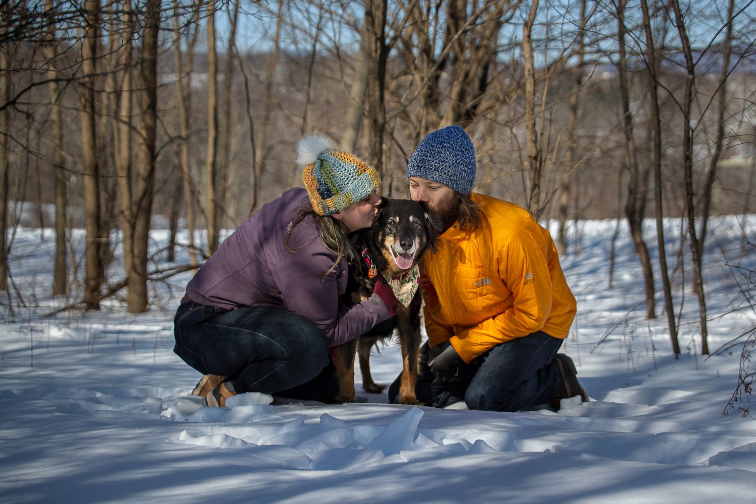 Dog mom and dog dad of an older herding dog kissing his head in the snow with woods around them