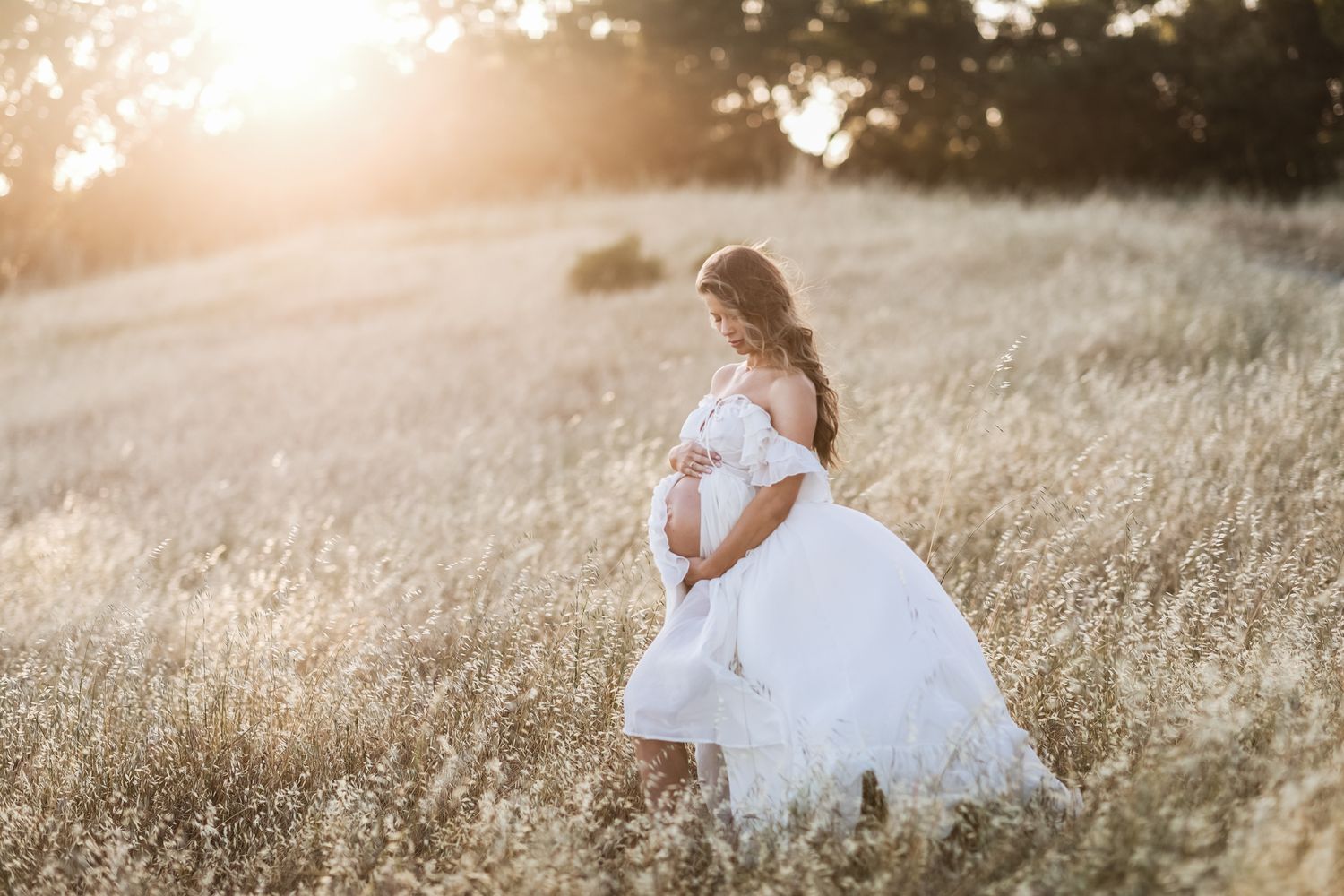 Expectant mother wearing a white gown looks down in golden wheat field with sun flare in background. North Shore maternity photographer
