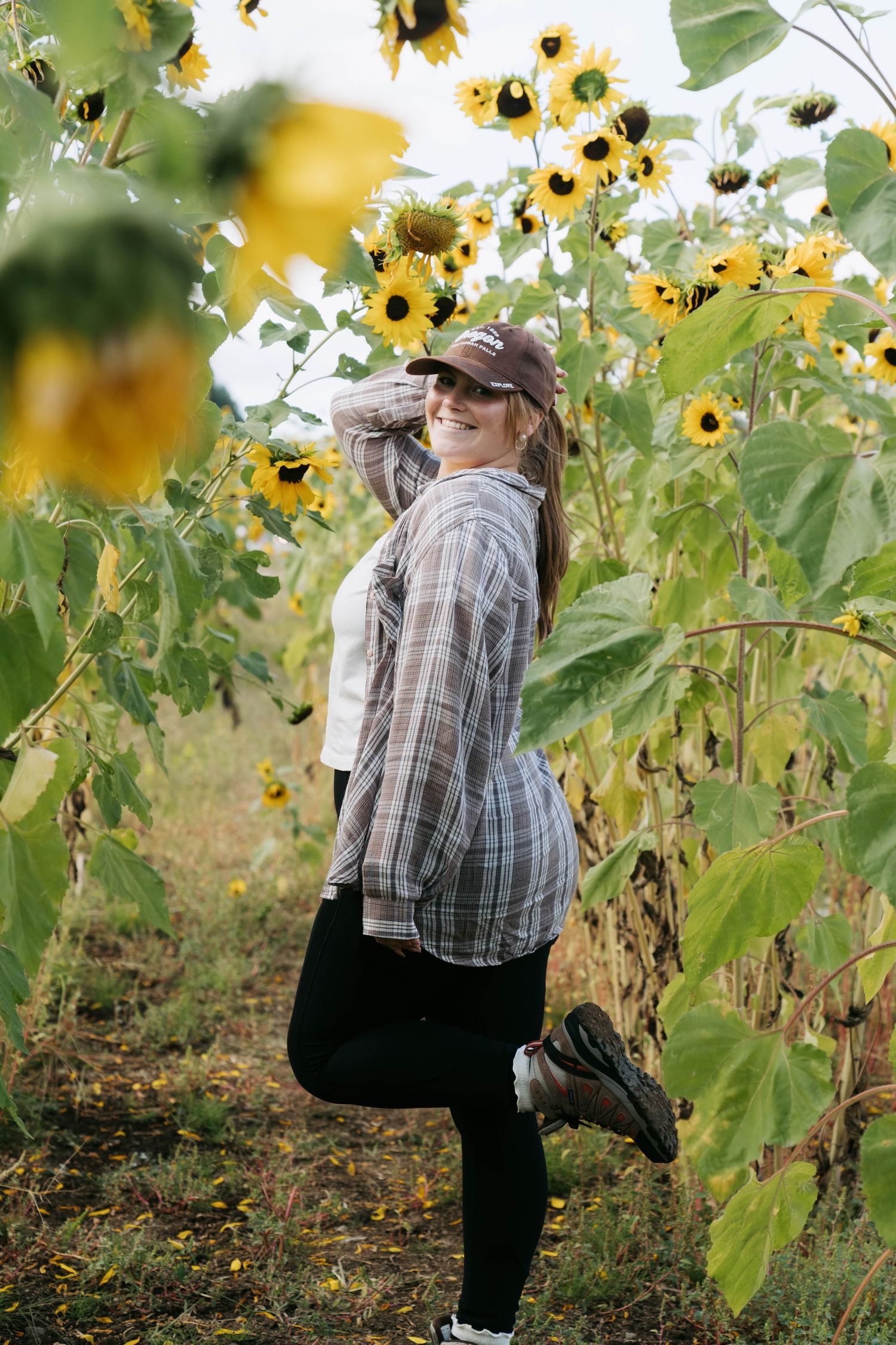 Four sequential photos of someone exploring a vibrant sunflower field on a sunny summer day.