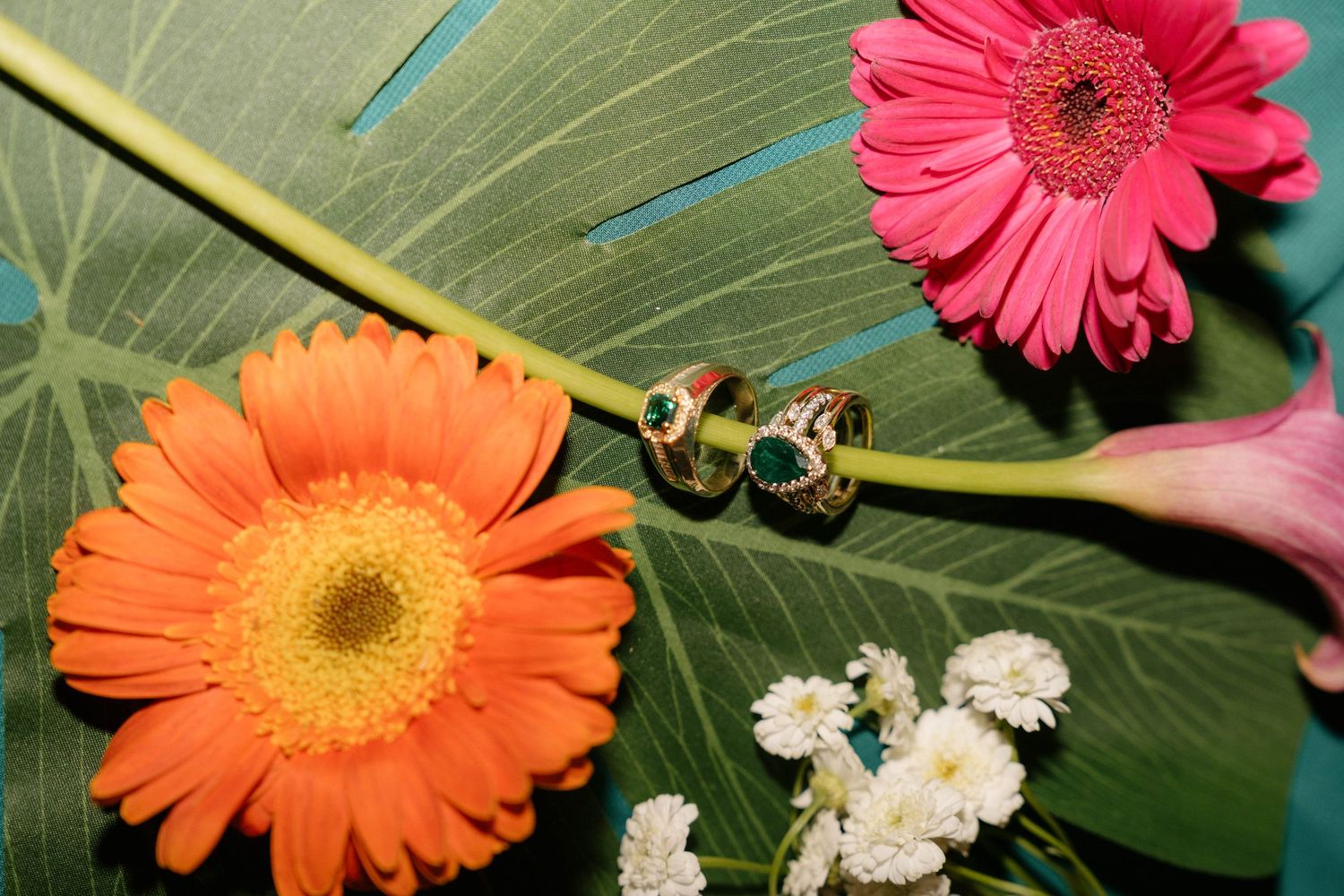 Gold butterfly rings with emerald gems displayed on tropical leaves with vibrant orange and pink gerbera daisies.