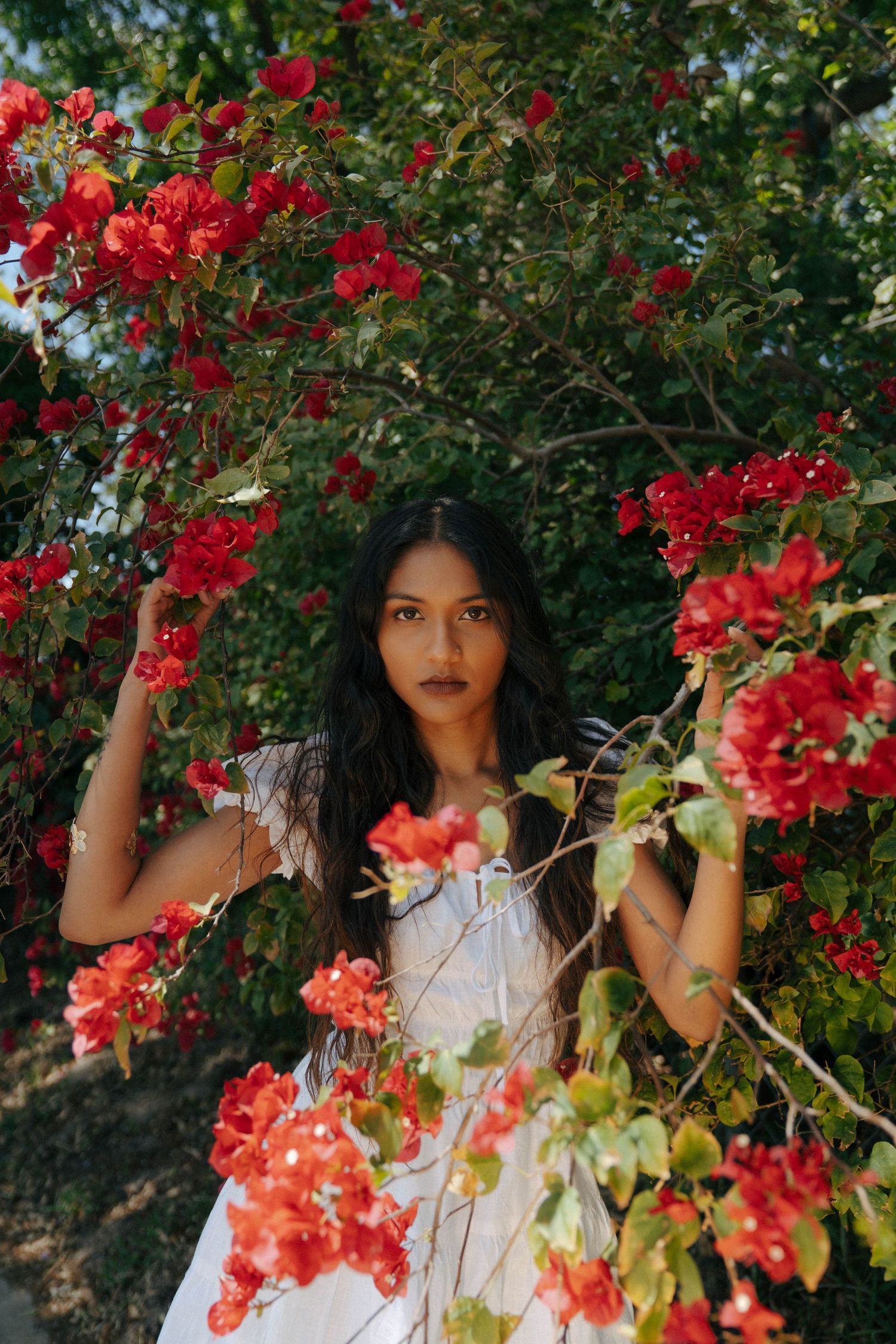 A figure in a white dress stands among vibrant red bougainvillea flowers in a garden setting.