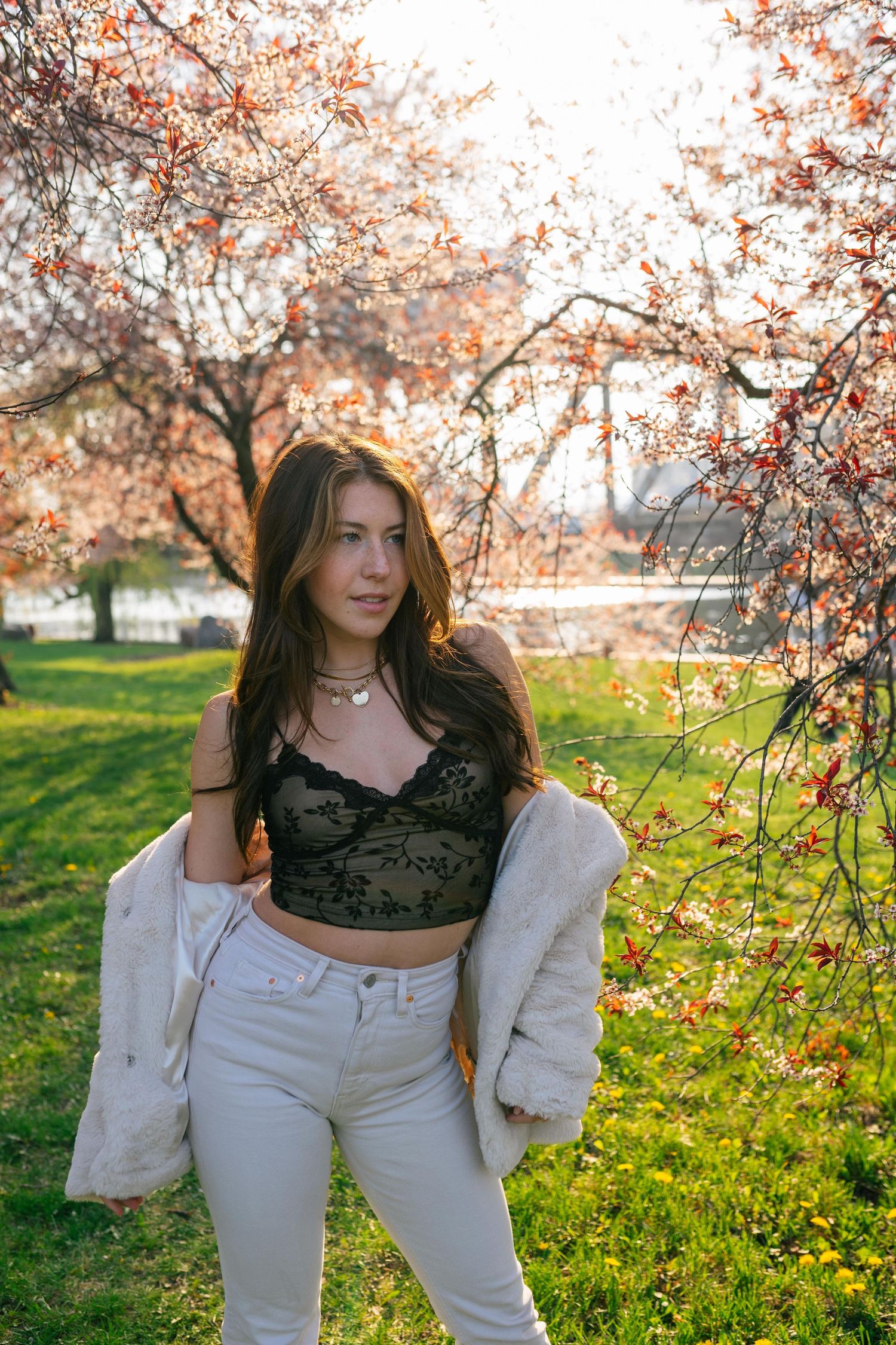 Spring portrait among blooming cherry trees with pink blossoms on a sunny day in a grassy park.