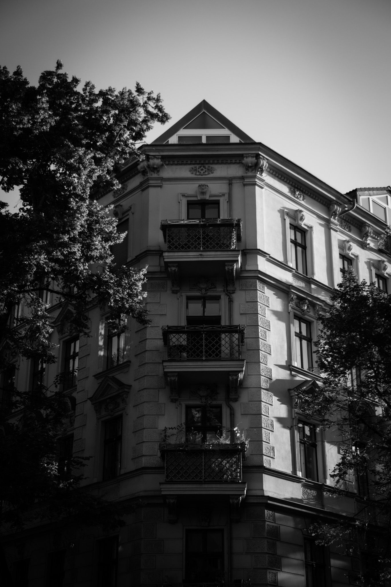 black and white berlin street building pointing towards the sky with beautiful trees framing the building corner