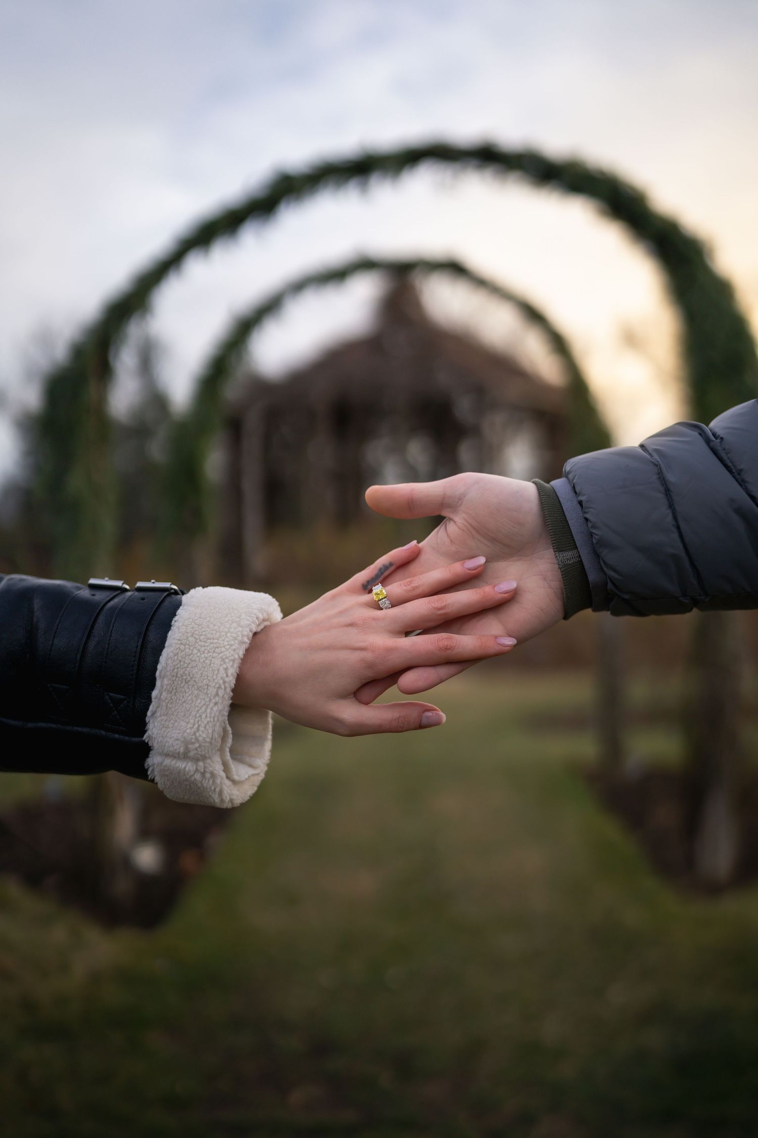 winter engagements photo session in elizabeth park photos of couple grazing hands