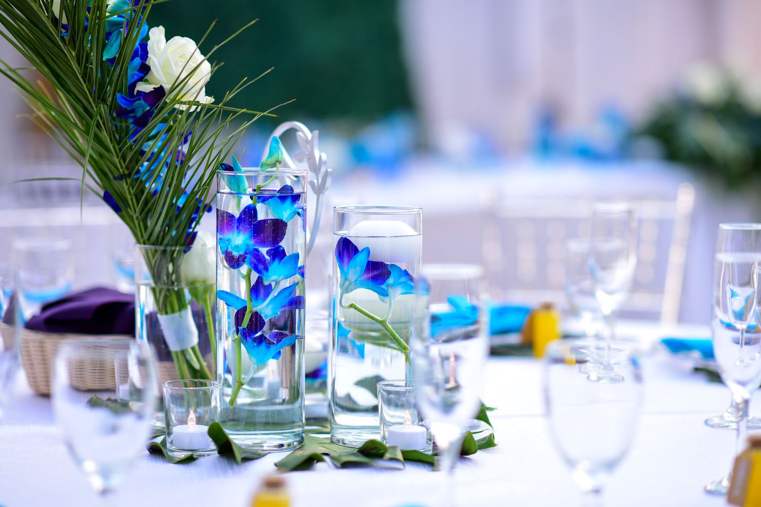 Blue Lens Media | Ottawa Wedding & Event