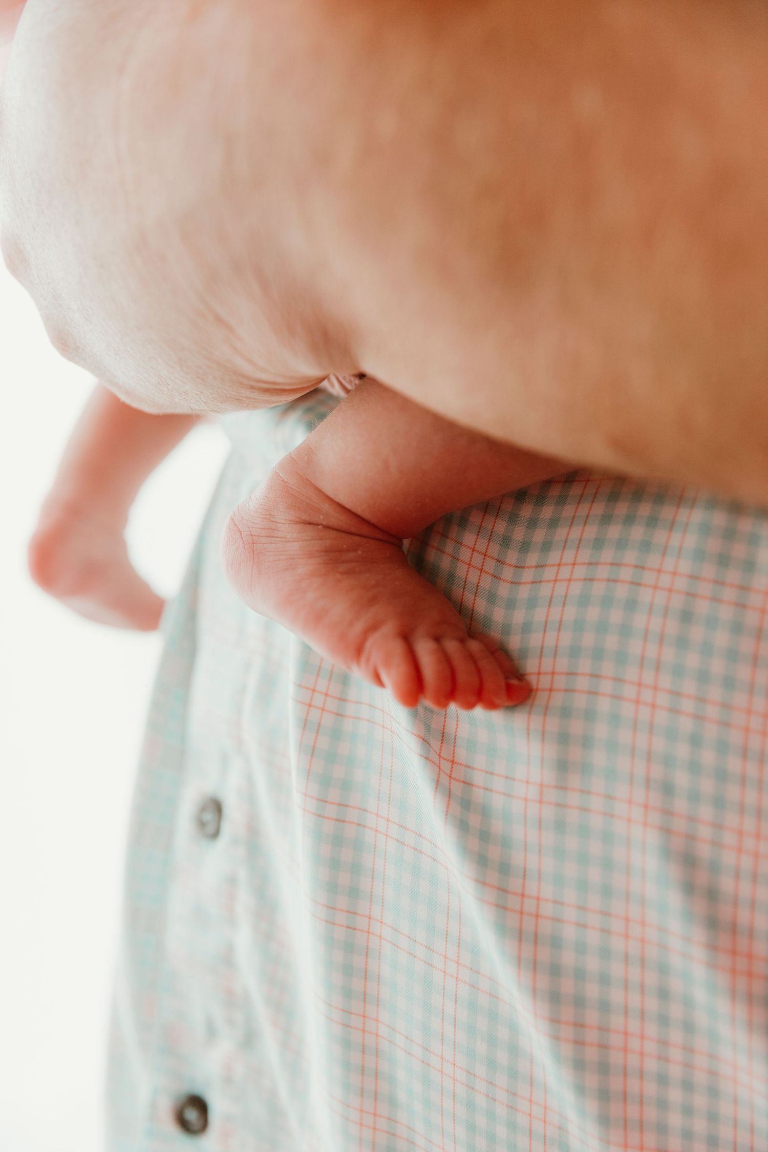 Close-up of tiny baby feet against plaid fabric.