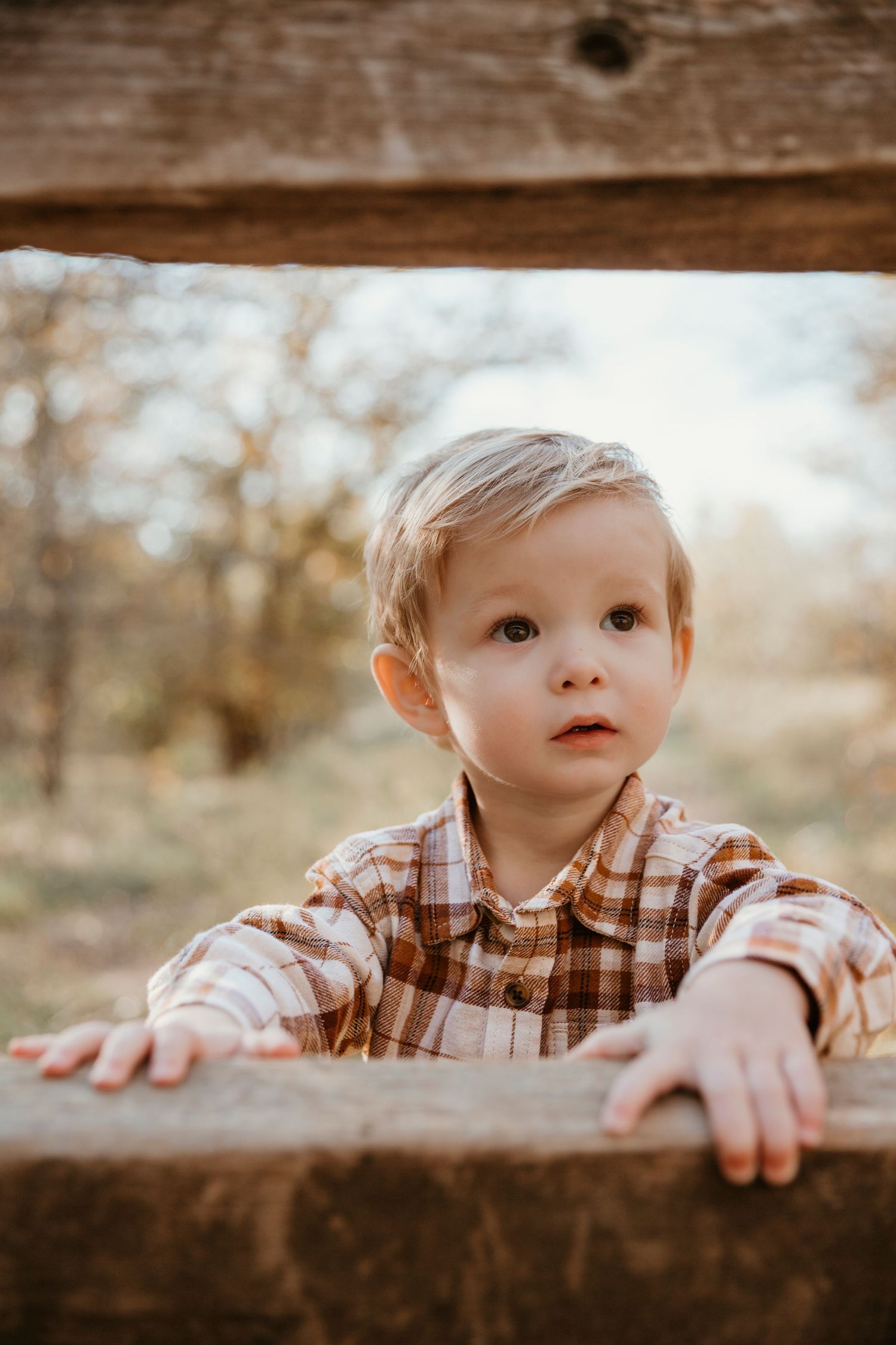 A young child peeks over a rustic wooden fence while wearing a brown plaid shirt in warm autumn lighting.
