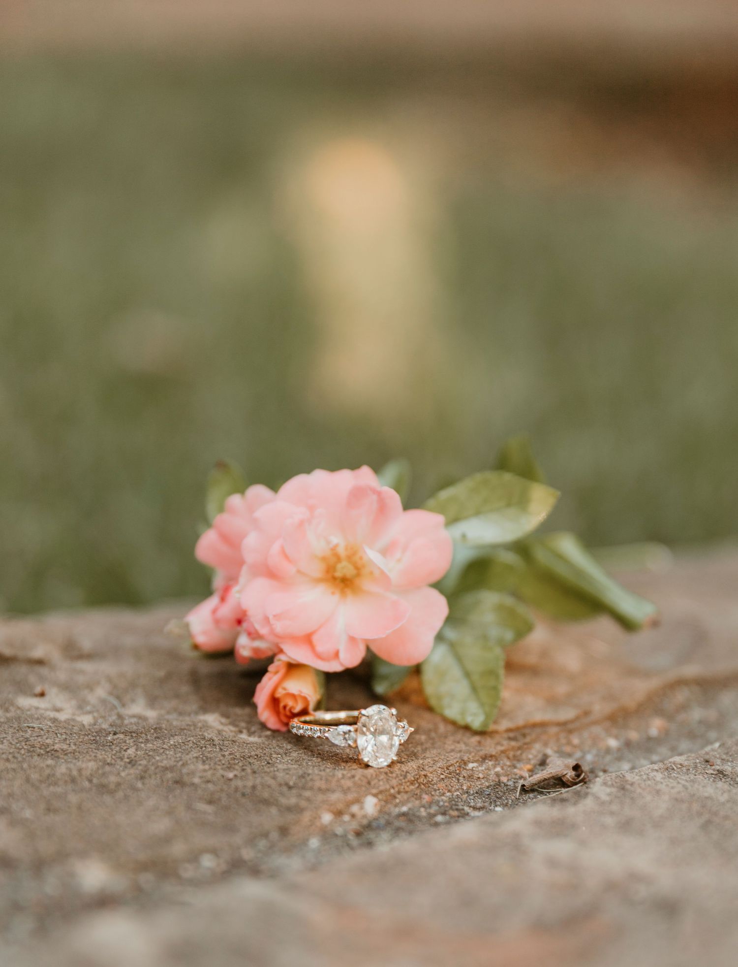 Delicate pink rose bloom next to a sparkling diamond engagement ring on rustic stone surface.