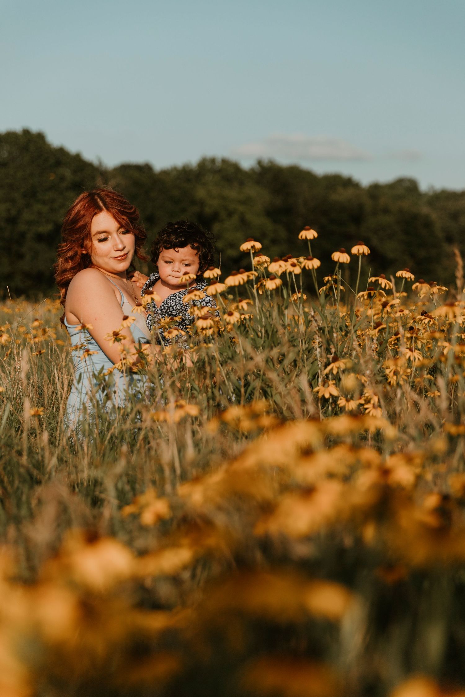 A heartwarming family portrait captured in a meadow filled with golden black-eyed susans at sunset.