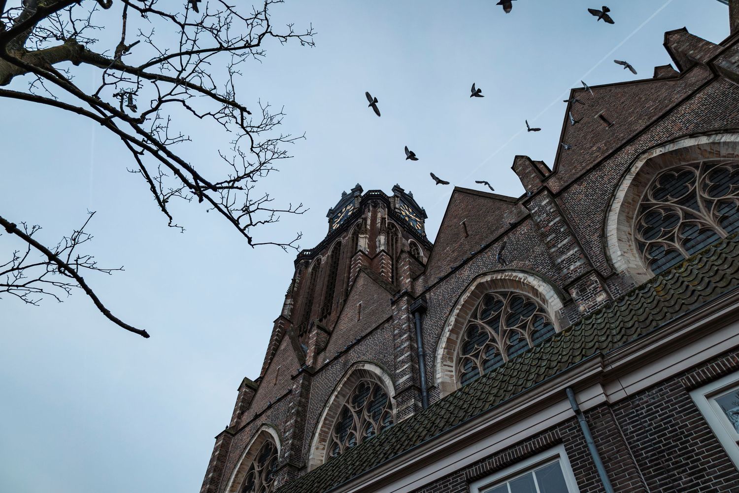 Shoot koppel H+J - Byjorinapeene
Dordrecht