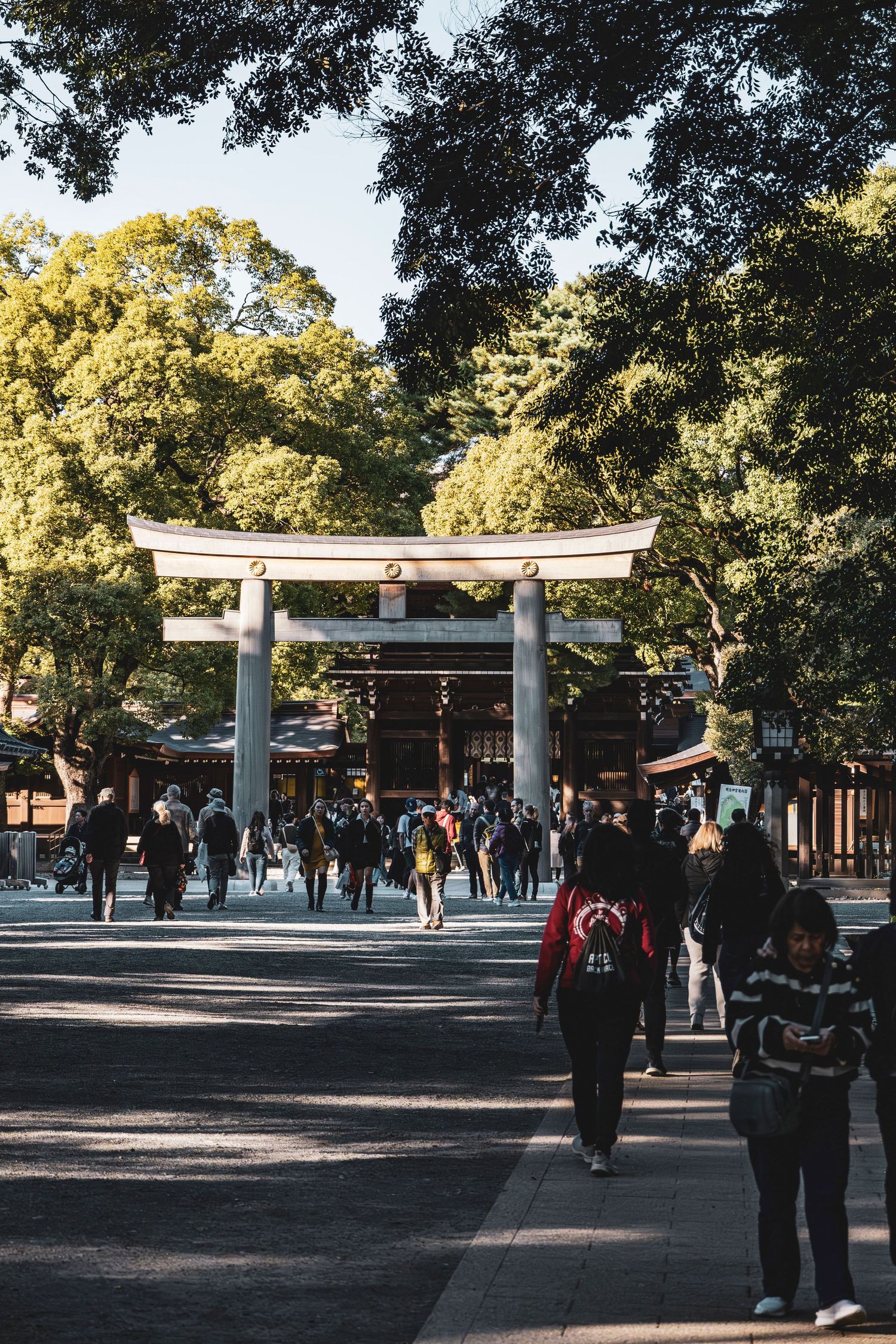 Avontuur Seoul + Tokyo - Byjorinapeene